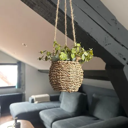 Apartmán L Atelier Bleu Hyper Centre